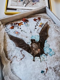 Image 3 of Exotic Bat of the night sky by Letters to La Luna