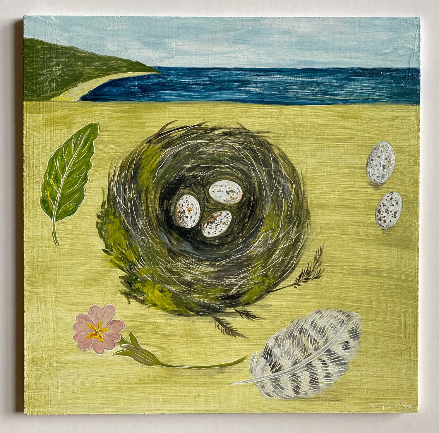 Image of Nest and Primrose by the sea 