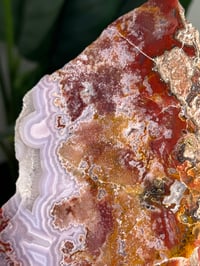 Image 2 of PURPLE AGUA NUEVA AGATE 