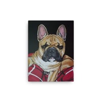 Image 4 of Frenchie King Louie