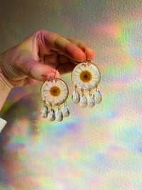 Image 1 of ✨🌼Daisy Spark🌼✨