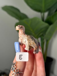 Image 5 of CHOOSE YOUR OWN MINI SOAPSTONE DINOSAURS