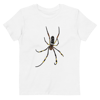 Organic Cotton Kids Banana Spider T-Shirt