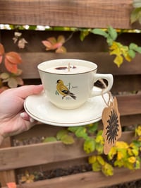 Image 2 of Warm Spice