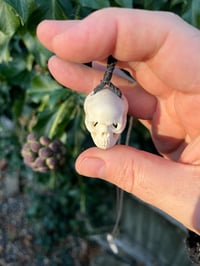 Image 3 of Fallow antler Skull pendant 