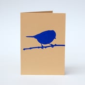 Image of Blue Tit card