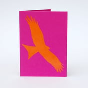 Image of Red Kite card