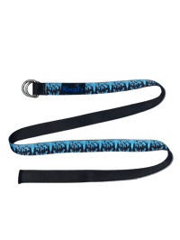 Image 2 of Blue Belt