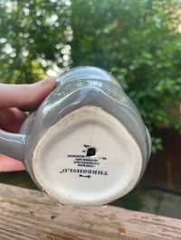 Image 4 of Thanksgiving Cactus in Gray Owl Mug