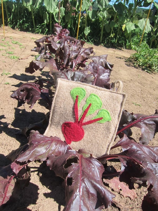 Image of Beets!