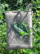 Image 3 of Pea Pod