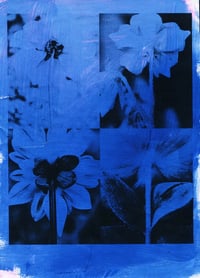 Image 2 of FOUR FLOWERS 