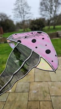 Image 1 of Mushroom bum 8