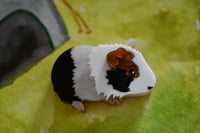 Image 2 of SECONDS- Guinea pig brooch - white brown