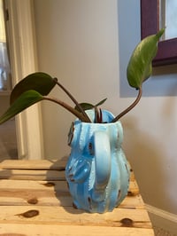 Image 3 of 'Red Imperial' Philodendron in Owl Pitcher