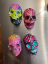 skull magnet