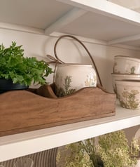 Image 4 of Scallop Display Tray 