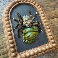 Image 1 of Pumpkin spider (b, 5x6 inches)
