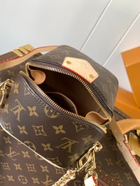 Image 4 of LV Just-Incase