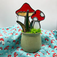 Image 4 of Red Potted Shrooms 