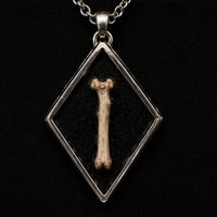 Image 4 of Bone Relic Necklace