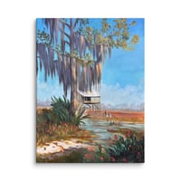 Image 1 of "Abbeville Irises" Canvas