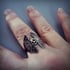 Luna Moth Twins Ring Image 3