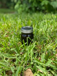 Image 1 of 🍯 5-Jar Honey Bundle – Limited Batch, Raw Dark Honey .
