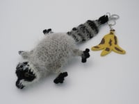 Image 12 of Raccoon Charms