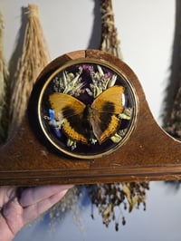 Image 2 of Vintage Clock w/ Yellow Leaf Buttefly 