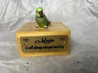 Image 6 of Handmade Custom Engraved Indian Ring Neck Parrot Urn Handpainted Pet Portrait