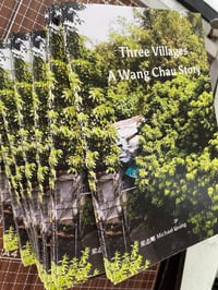 Three Villages — A Wang Chau Story