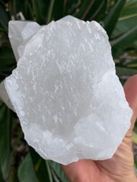 Image 7 of Clear Quartz Self Healed Points Cluster #1189