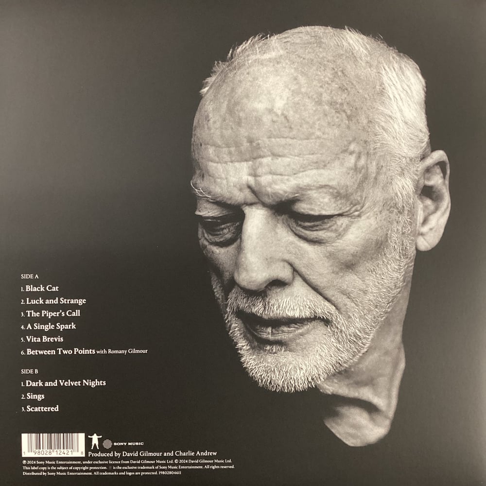 David Gilmour - Luck And Strange 