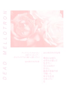 Image of  Flowers Tee