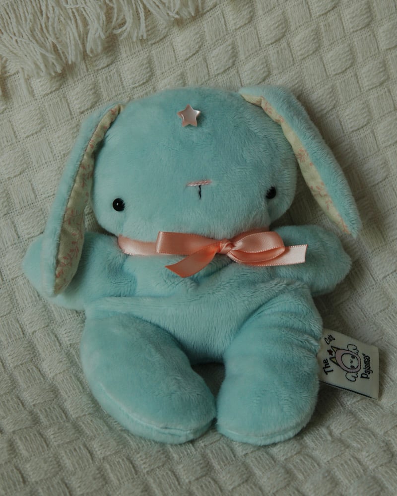 Image of FIRST TIME BUYERS ONLY Star Bunny MINIS