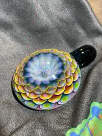 Image 5 of rainforest rainbow 