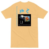 Image 5 of T shirts