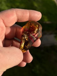 Image 3 of Queen of Rot tear 