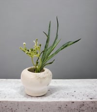 Image 4 of Mini White Lava Vase Copy