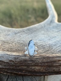 Image 1 of The Cattle Ridge