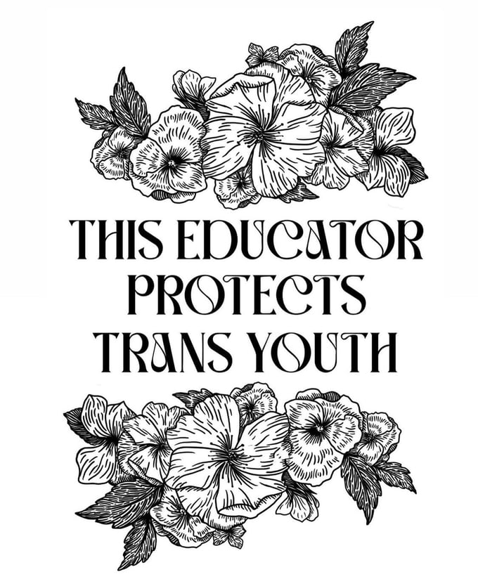 Image of ‘This Educator Protects Trans Youth’ Sabertooth Studio tee