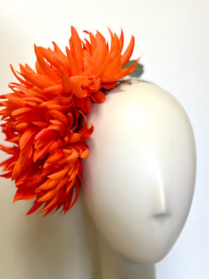 Image of Orange chrysanthemums