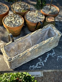 Image 5 of Harolds Signature Hanging Rattan Planter