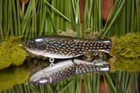 Finesse Shat - Pickerel 🐉