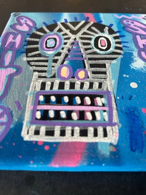 Image of SS2 canvas