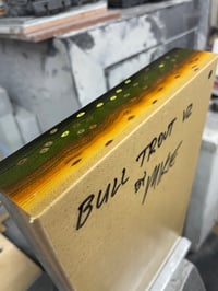 Image 1 of Bull Trout V2 by Mikie