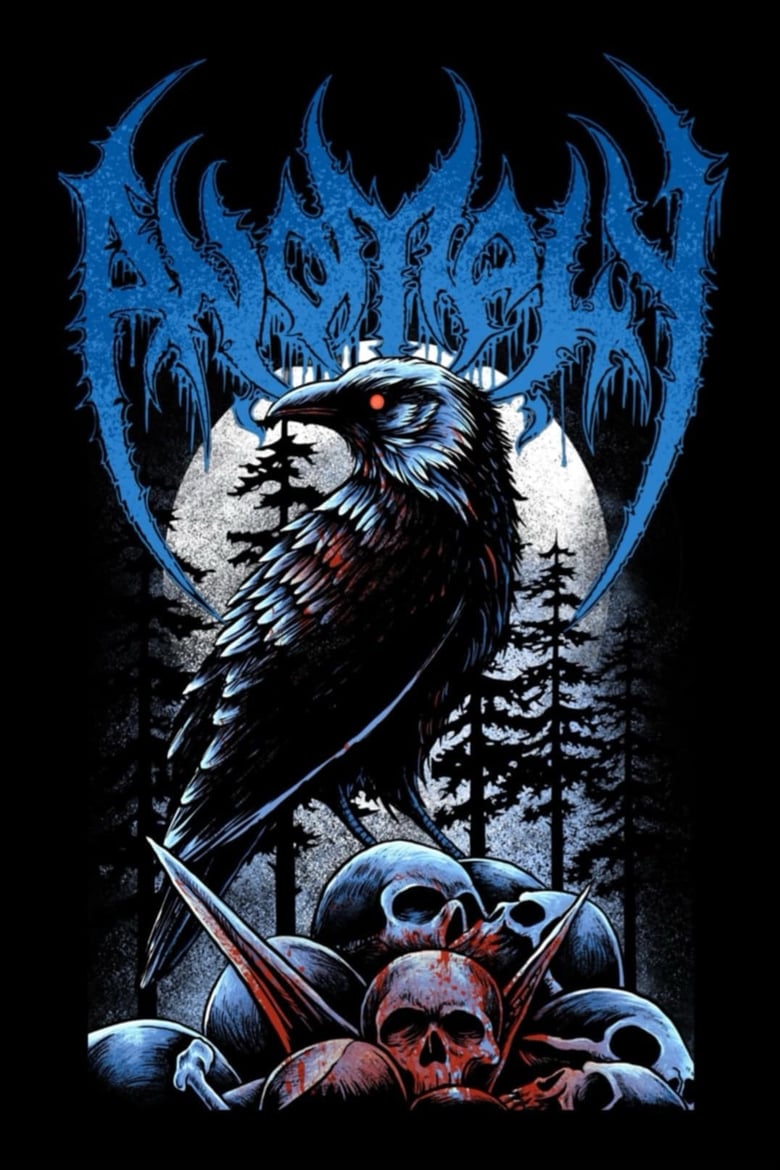 Image of Crow shirt PREORDER