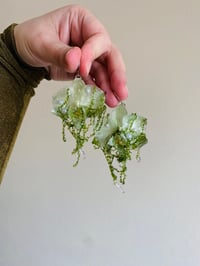 Image 1 of 🌿Mossy Phalaenopsis Orchids🌿 Earrings 