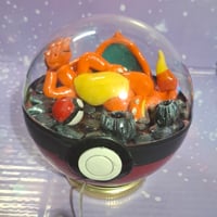 Image 1 of Charizard terrarium 